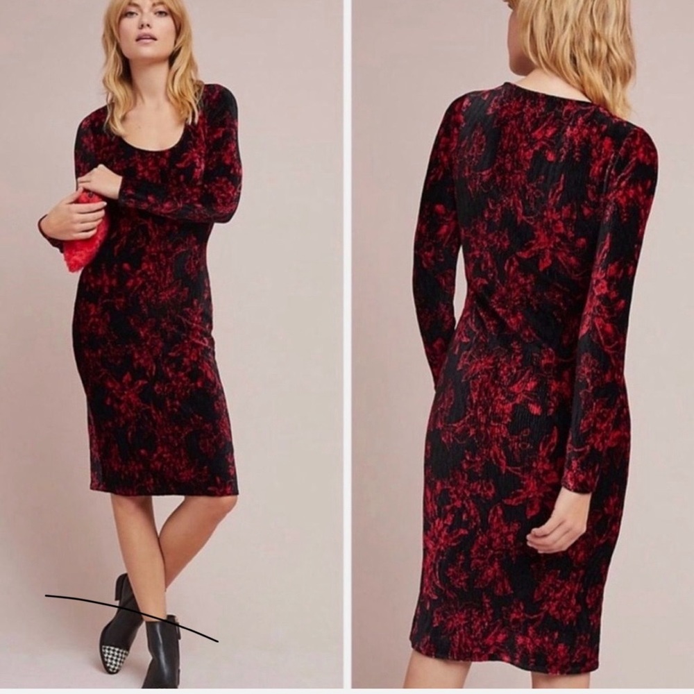 HD in Paris Anthropologie Black and Red Floral Velvet Dress Size Medium